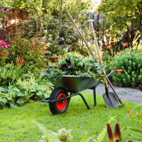 Garden Maintenance Southfields